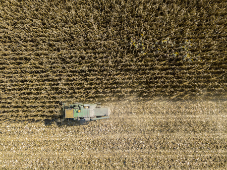 Combine harvesting seed from fields, aerial view of a field with a combine harvester with cornhusker gathering the crop. Agriculture and cultivation, cuttings, corn threshing, fields in the countrysideの写真素材