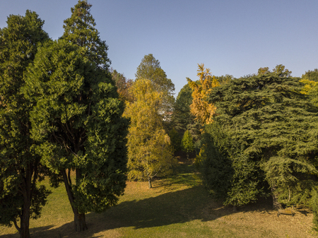 Nature and landscape: aerial view of a park, autumn foliage, leafy meadow, green area, ecology. Park of a villa in the hinterland of Milanの写真素材