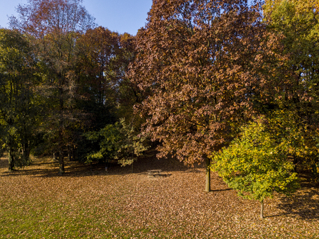Nature and landscape: aerial view of a park, autumn foliage, leafy meadow, green area, ecology. Bench and tableの写真素材