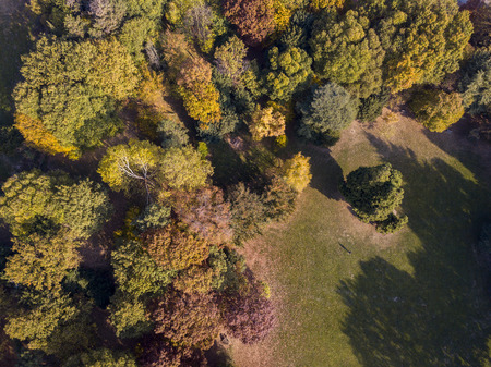 Nature and landscape: aerial view of a park, autumn foliage, leafy meadow, green area, ecologyの写真素材