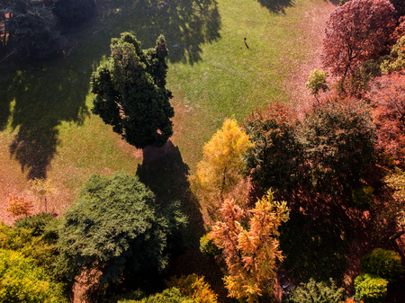 Nature and landscape: aerial view of a park, autumn foliage, leafy meadow, green area, ecologyの写真素材