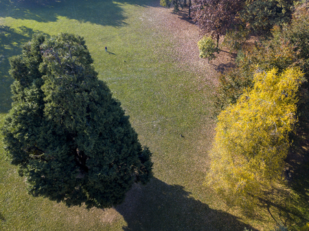 Nature and landscape: aerial view of a park, autumn foliage, leafy meadow, green area, ecology. Bench and tableの写真素材