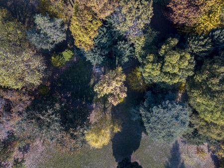 Nature and landscape: aerial view of a park, autumn foliage, leafy meadow, green area, ecology. Bench and tableの写真素材