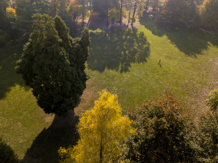 Nature and landscape: aerial view of a park, autumn foliage, leafy meadow, green area, ecologyの写真素材