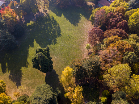 Nature and landscape: aerial view of a park, autumn foliage, leafy meadow, green area, ecologyの写真素材