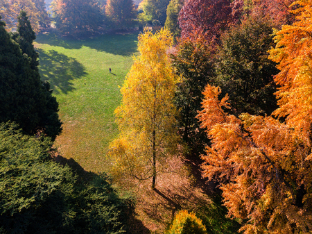 Nature and landscape: aerial view of a park, autumn foliage, leafy meadow, green area, ecologyの写真素材