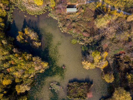 Nature and landscape: aerial view of a forest and a naturalistic path, autumn leaves, greenery and trees, outdoor walks, wildlife. Foliageの写真素材