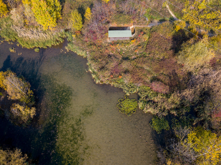 Nature and landscape: aerial view of a forest and a naturalistic path, autumn leaves, greenery and trees, outdoor walks, wildlife. Foliageの写真素材