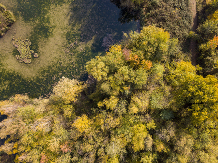 Nature and landscape: aerial view of a forest and lakes, autumn leaves, foliage, greenery and trees in a wilderness landscapeの写真素材