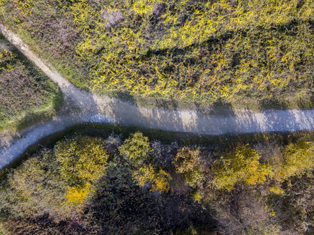 Nature and landscape: aerial view of a forest and a naturalistic path, autumn leaves, greenery and trees, outdoor walks, wildlife. Foliageの写真素材