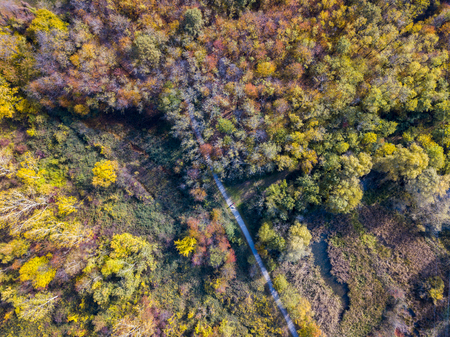Nature and landscape: aerial view of a forest and a naturalistic path, autumn leaves, greenery and trees, outdoor walks, wildlife. Foliage.の写真素材