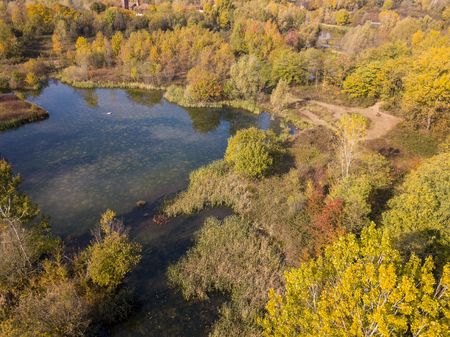Nature and landscape: aerial view of a forest and lakes, autumn leaves, foliage, greenery and trees in a wilderness landscapeの写真素材