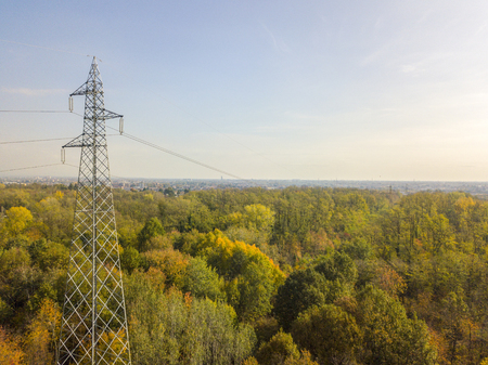 Aerial view of an electric trellis immersed in greenery, electricity, electric wires, electric currentの写真素材