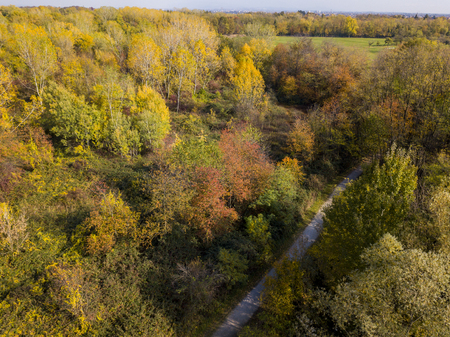 Nature and landscape: aerial view of a forest and a naturalistic path, autumn leaves, greenery and trees, outdoor walks, wildlife. Foliageの写真素材