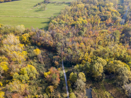 Nature and landscape: aerial view of a forest and a naturalistic path, autumn leaves, greenery and trees, outdoor walks, wildlife. Foliage.の写真素材
