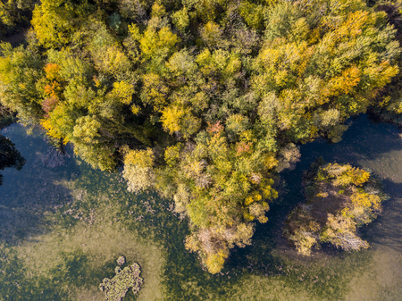 Nature and landscape: aerial view of a forest and lakes, autumn leaves, foliage, greenery and trees in a wilderness landscapeの写真素材