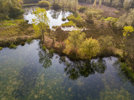 Nature and landscape: aerial view of a forest and lakes, autumn leaves, foliage, greenery and trees in a wilderness landscapeの写真素材
