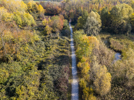 Nature and landscape: aerial view of a forest and a naturalistic path, autumn leaves, greenery and trees, outdoor walks, wildlife. Foliage.の写真素材