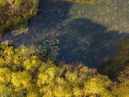 Nature and landscape: aerial view of a forest and lakes, autumn leaves, foliage, greenery and trees in a wilderness landscapeの写真素材