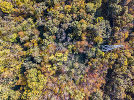 Aerial view of an electric trellis immersed in greenery, electricity, electric wires, electric currentの写真素材