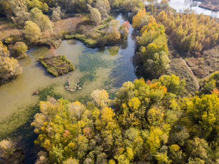 Nature and landscape: aerial view of a forest and lakes, autumn leaves, foliage, greenery and trees in a wilderness landscapeの写真素材