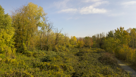 Nature and landscape: aerial view of a forest and a naturalistic path, autumn leaves, greenery and trees, outdoor walks, wildlife. Foliageの写真素材