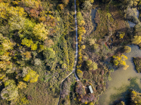Nature and landscape: aerial view of a forest and a naturalistic path, autumn leaves, greenery and trees, outdoor walks, wildlife. Foliageの写真素材