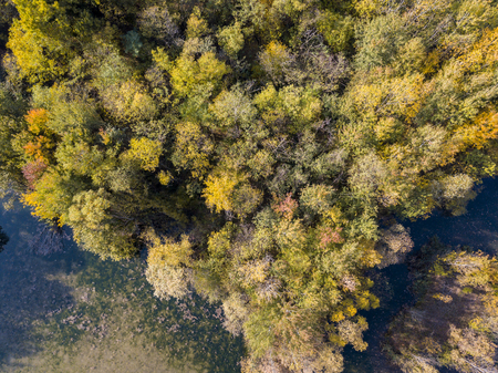Nature and landscape: aerial view of a forest and lakes, autumn leaves, foliage, greenery and trees in a wilderness landscapeの写真素材