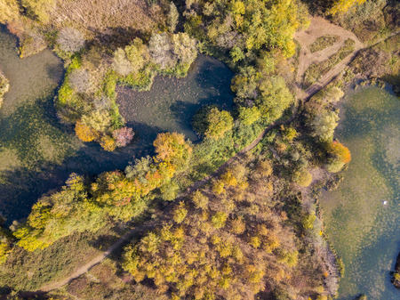 Nature and landscape: aerial view of a forest and lakes, autumn leaves, foliage, greenery and trees in a wilderness landscapeの写真素材