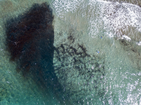 Aerial view of the rocks on the sea. Overview of seabed seen from above, transparent water. Swimmers, bathers floating on the waterの写真素材