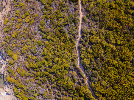 Aerial view of the Mediterranean, Corsica, France. Sea and vegetation seen from above, rocks and rocks. Sentier du Douanier. Capo Corsoの写真素材