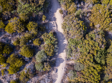 Aerial view of the Mediterranean, Corsica, France. Sea and vegetation seen from above, rocks and rocks. Sentier du Douanier. Capo Corsoの写真素材
