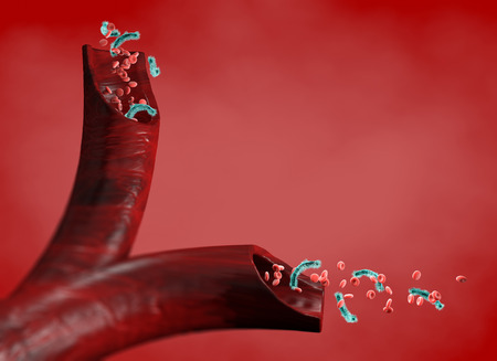 Vein and blood cells attacked by a virus, circulation of bacteria within an artery. Escherichia coli. Section of a vein. 3d renderingの写真素材
