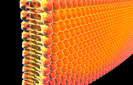 Lipid formation, fat in the human body. View under the microscope. 3d renderの写真素材
