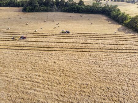 Nature and landscape, aerial view of fields with tractor and harvesting and pressing hay. Field with swaths ready to be transformed into round balesの写真素材
