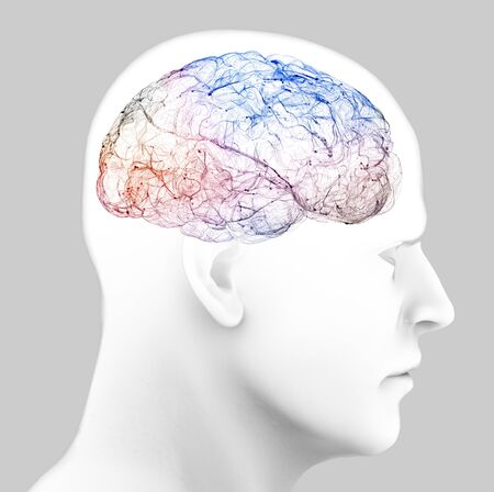 View of the synapses. Brain connections. Neurons and synapses. Communication and cerebral stimulus. Neural network circuit, degenerative diseases, Parkinson's. 3d renderの写真素材