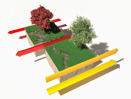 Different types of plate boundaries: transform boundaries, terrain section, 3d render. Tectonic plates, side sliding margin, earthquakeの写真素材