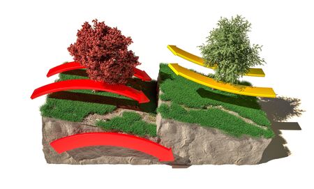 Different types of plate boundaries: convergent boundaries, terrain section, 3d render. Tectonic plates, side sliding margin, earthquakeの写真素材