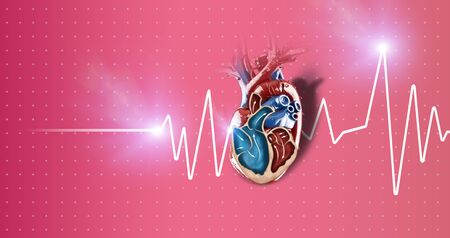 Section of a heart, heart beat. It is a muscular organ which pumps blood through the blood vessels of the circulatory system. 3d renderの写真素材