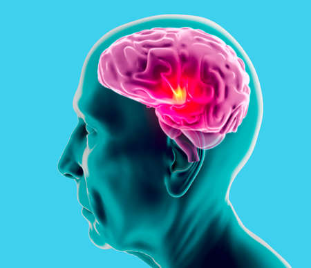 Lateral view of a brain of an elderly man. Neurons and synapses. Communication and cerebral...