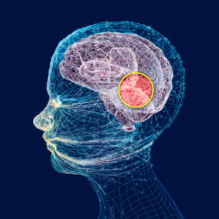 Neurology, philosophy: connections, the development of thought and reflection, the infinite...