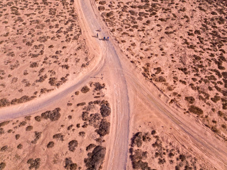 Aerial view of people cycling on a dirt path in the island of La Graciosa, Lanzarote, Canary Islands. Spain. Outdoor trekking route. Explore and adventure.の写真素材