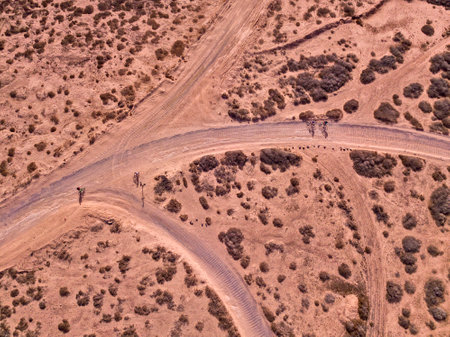 Aerial view of people cycling on a dirt path in the island of La Graciosa, Lanzarote, Canary Islands. Spain. Outdoor trekking route. Explore and adventure.の写真素材