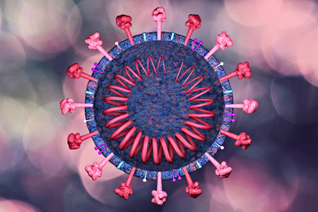 Section of the coronavirus. Microscopic view of covid-19. How SARS-Cov-2 is made. Scientific analyzes and studies. Vaccines, how they act on the virus. 3d renderの写真素材