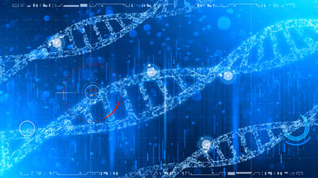 Dna helix, computer analysis and testing. Genetic instructions used for the growth of living organisms. 3d render, Hud, hologram x-ray view. New genetic discoveriesの写真素材