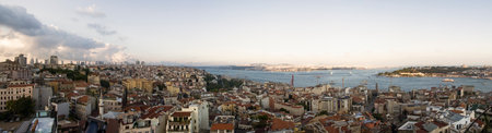 Panoramic view of the Istanbul skyline from above the Galata Tower. Mosques, historical buildings of the city: Aya Sofya, Topkapi Sarayi, Blue Mosque, Suleymaniye Mosque. Turkey. 06-22-2019のeditorial素材