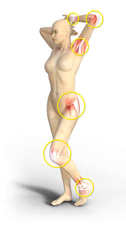 The joints of the human body are anatomical structures that maintains two or more bony surfaces in contiguity, interconnected through connective tissuesの写真素材