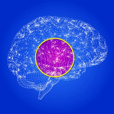 How the brain works. Synapses and neurons. Connections. Take care of your brain, stimuli and ideas. Degenerative diseases, Parkinson's and Alzheimer's. 3d renderの写真素材