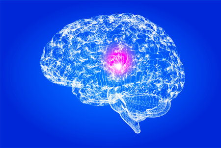 How the brain works. Synapses and neurons. Connections. Take care of your brain, stimuli and ideas. Degenerative diseases, Parkinson's and Alzheimer's. 3d renderの写真素材