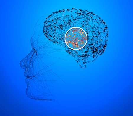How the brain works. Synapses and neurons. Connections. Take care of your brain, stimuli and ideas. Degenerative diseases, Parkinson's and Alzheimer's. 3d renderの写真素材